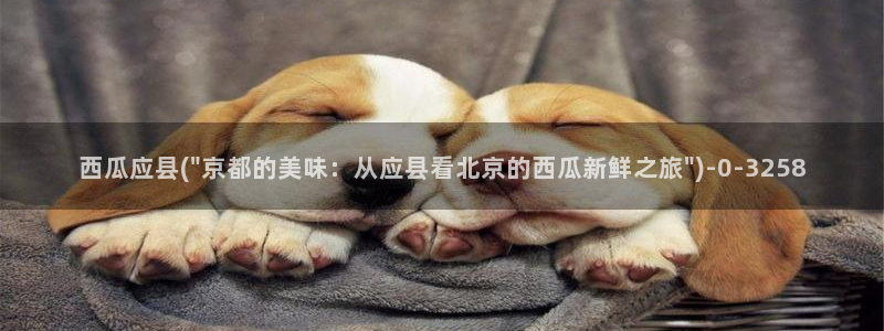 理论片西瓜影院免费观看