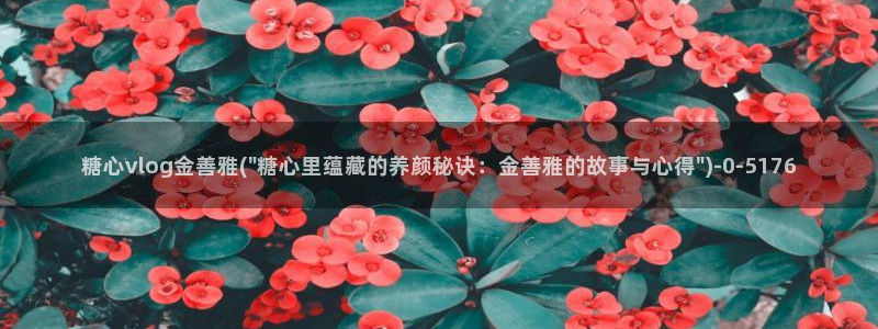 中国区糖心vlog：糖心vlog金善雅(\