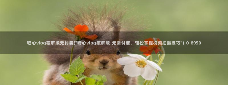 糖心vlog哪里下载：糖心vlog破解版无付费(\