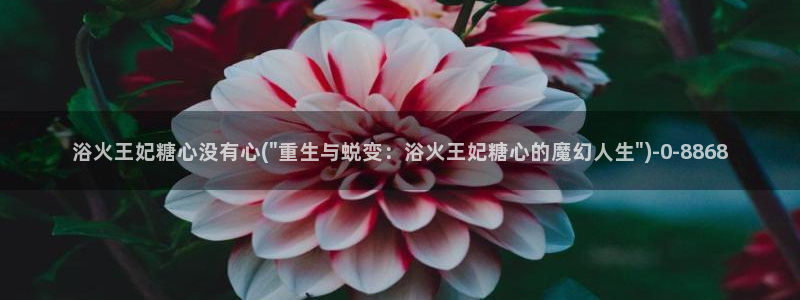 糖心vlog在线观看糖心：浴火王妃糖心没有心(\