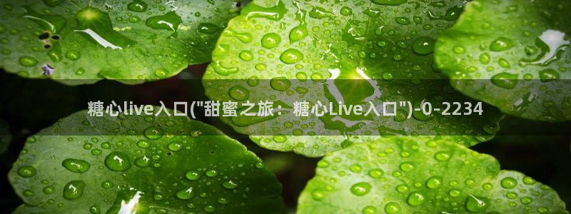糖心vlog无限次数