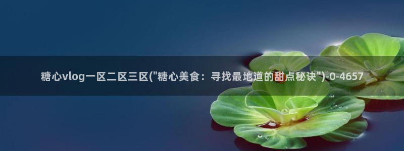 糖心vlog官网破解版