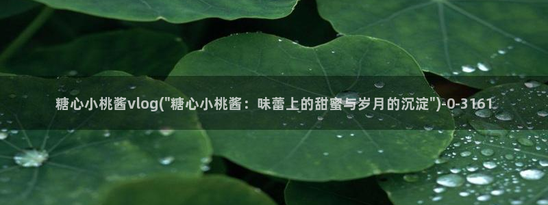糖心vlog 白菜妹妹