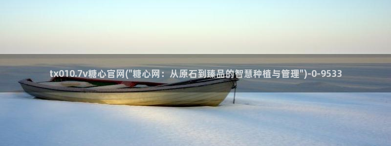 糖心vlog播放