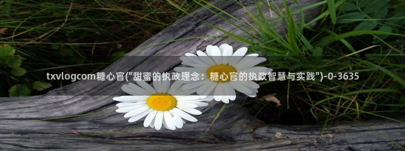 糖心vlog免费账号：txvlogcom糖心官(