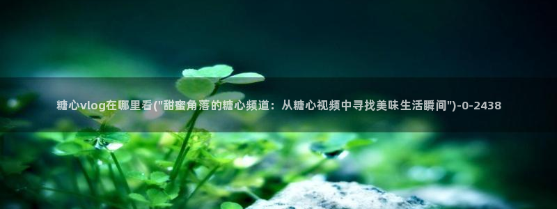 糖心vlog下载app官网
